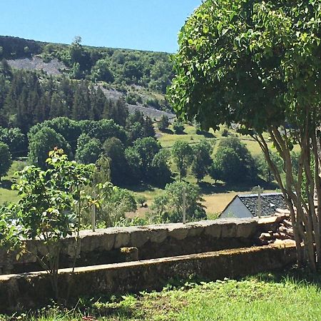 La Cure Grande Maison De Charme De 2 A 14 Personnes Saint-Urcize Luaran gambar