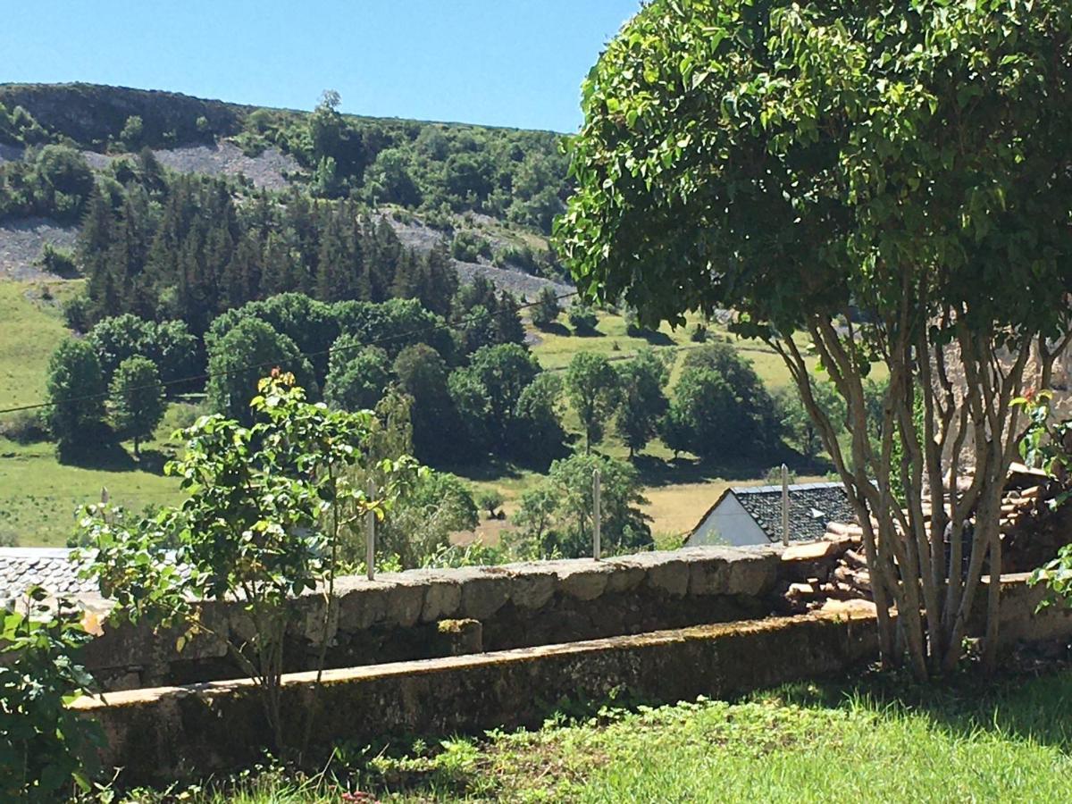 La Cure Grande Maison De Charme De 2 A 14 Personnes Saint-Urcize Luaran gambar